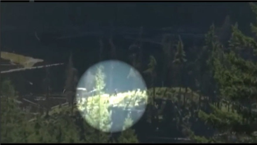 bigfoot in Canada.jpg